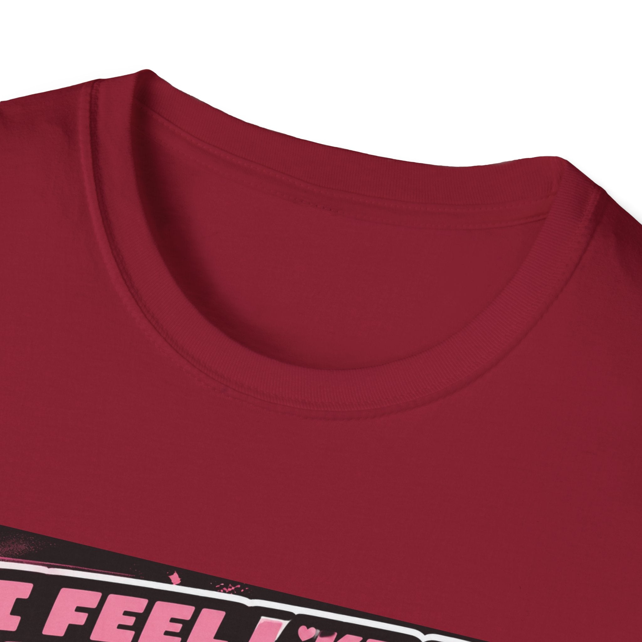 I Feel Like a Princess cat T-Shirt | Black Cat, Pink Retro Design
