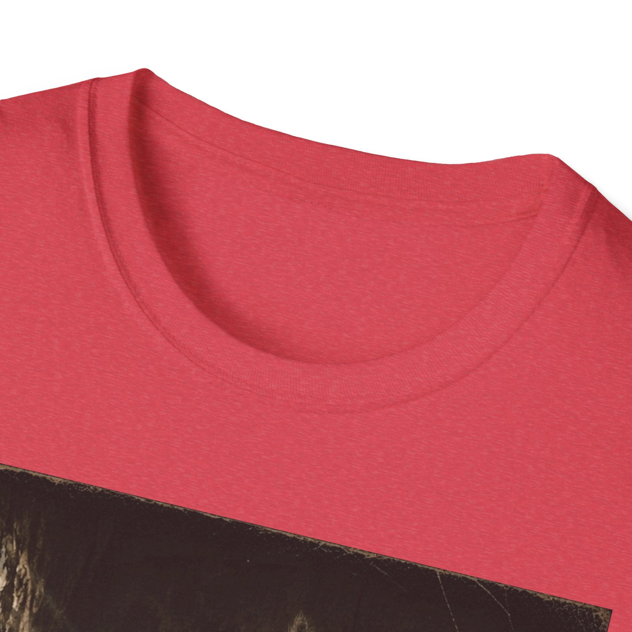 Gray Spooky Cat T-Shirt | Halloween Cat Shirt
