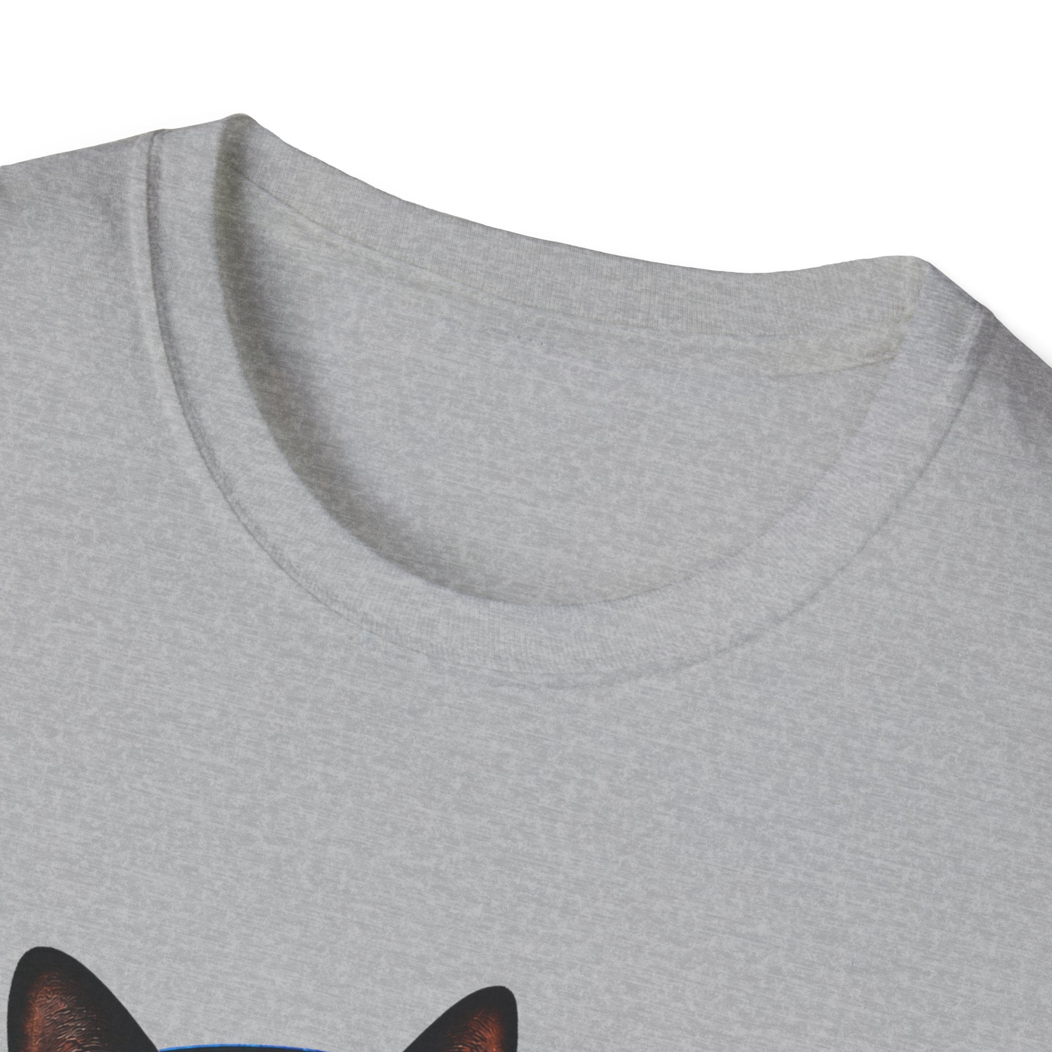 Black Cat with Headphones I Saw That T-Shirt | Funny Cat Tee