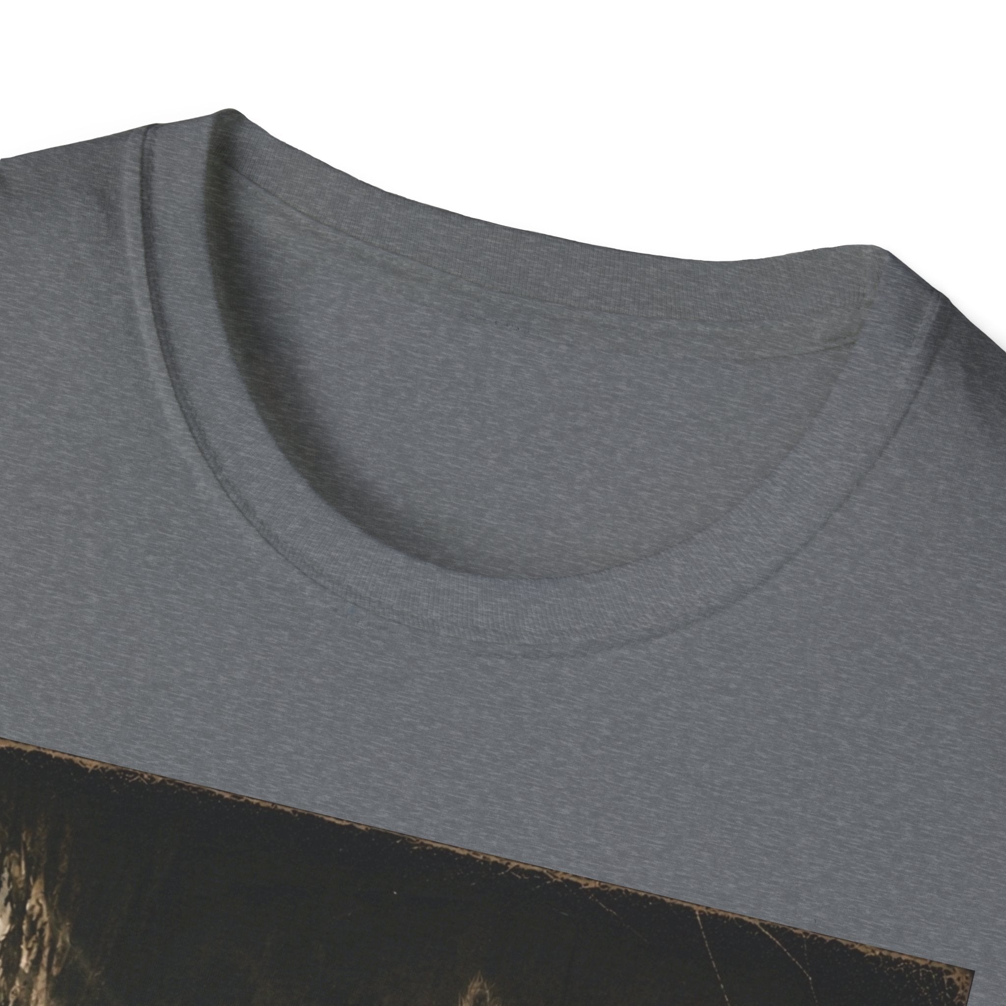 Gray Spooky Cat T-Shirt | Halloween Cat Shirt