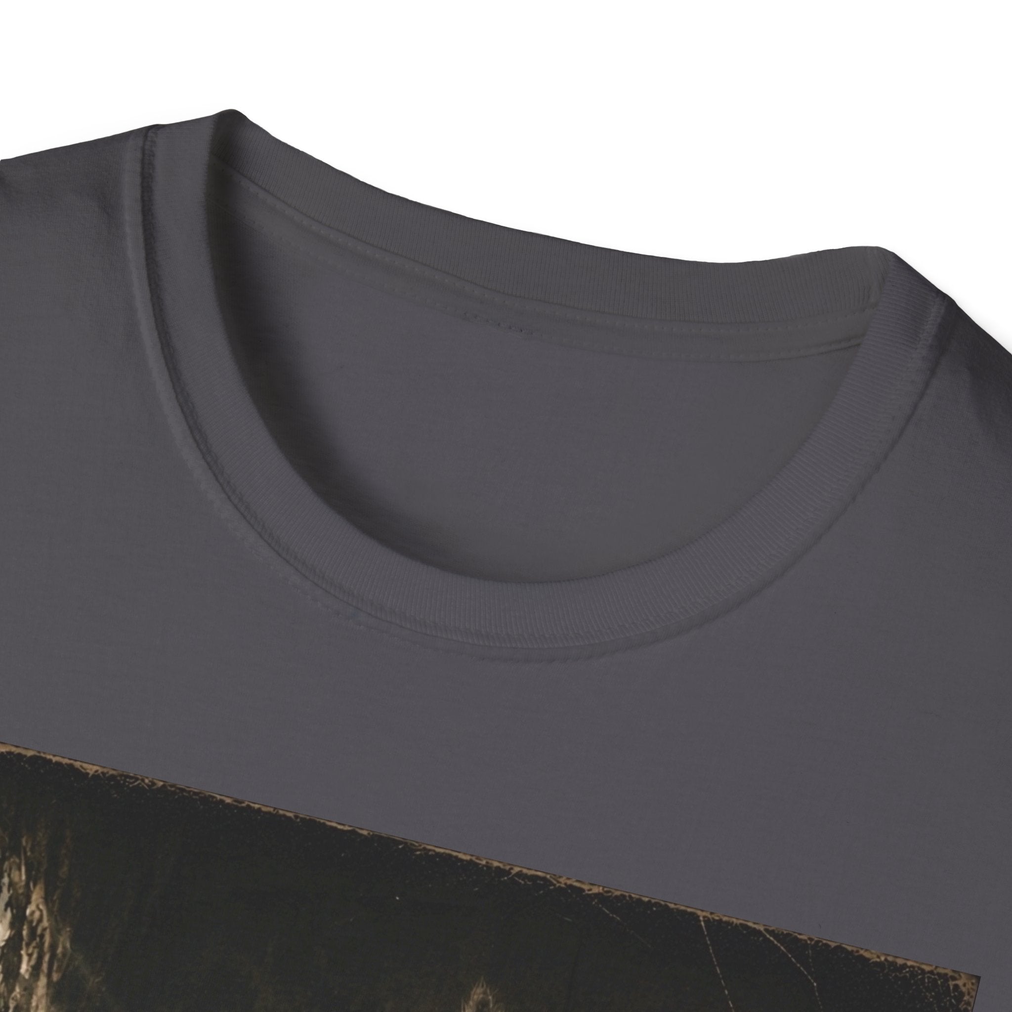 Gray Spooky Cat T-Shirt | Halloween Cat Shirt