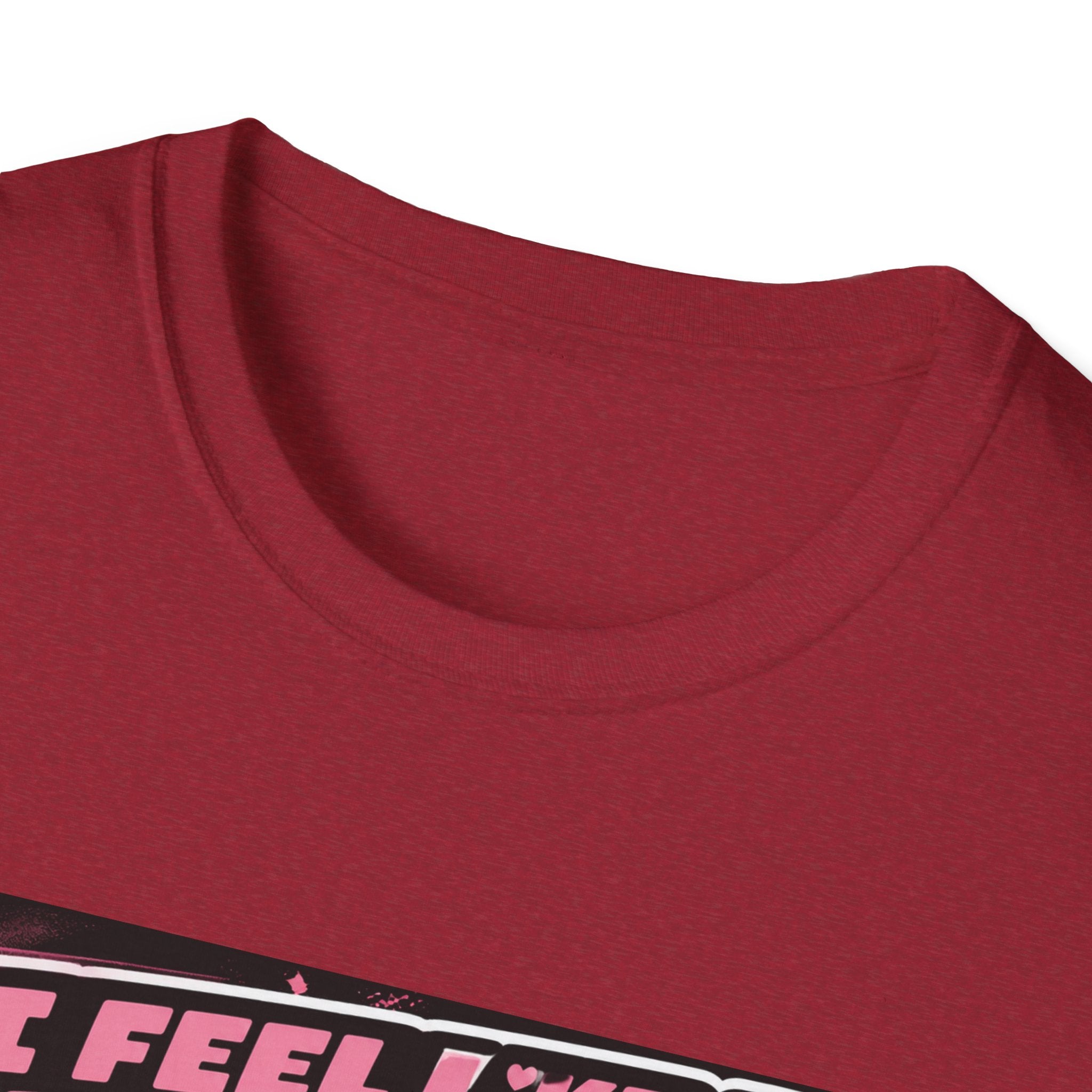 I Feel Like a Princess cat T-Shirt | Black Cat, Pink Retro Design